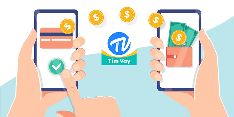 timvay2